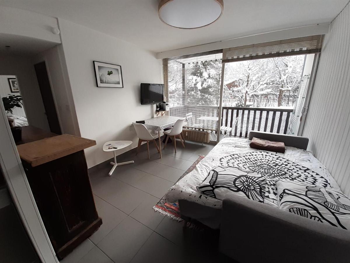 Studio Quartier Calme Centre Ville Vue Mont Blanc Chamonix Mont Blanc Exterior foto